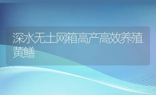 深水无土网箱高产高效养殖黄鳝 | 动物养殖饲料