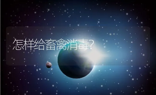 怎样给畜禽消毒？ | 动物养殖学堂