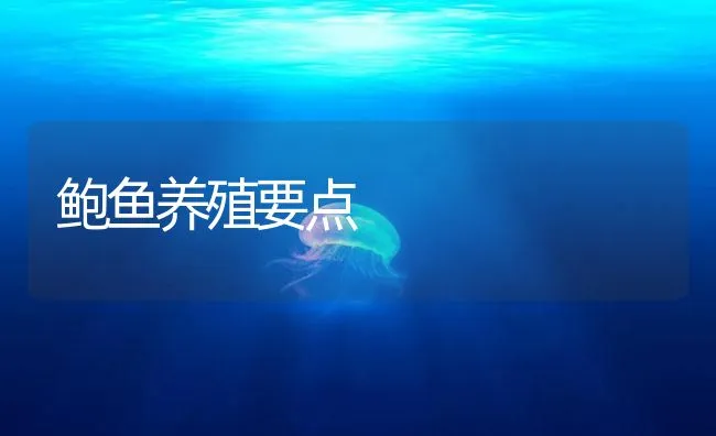 鲍鱼养殖要点 | 海水养殖技术