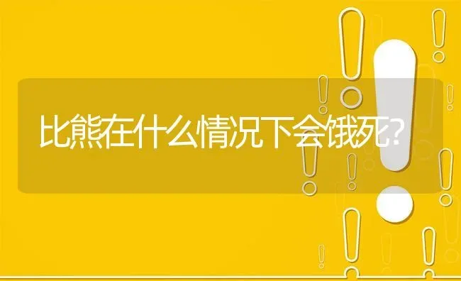 比熊在什么情况下会饿死？ | 动物养殖问答