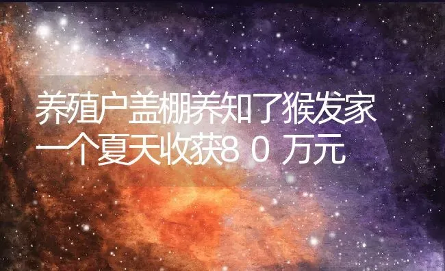 养殖户盖棚养知了猴发家 一个夏天收获80万元 | 动物养殖教程