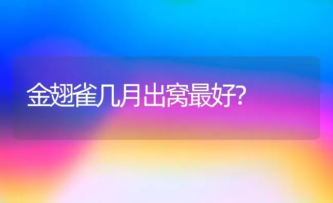 金翅雀几月出窝最好？ | 动物养殖问答