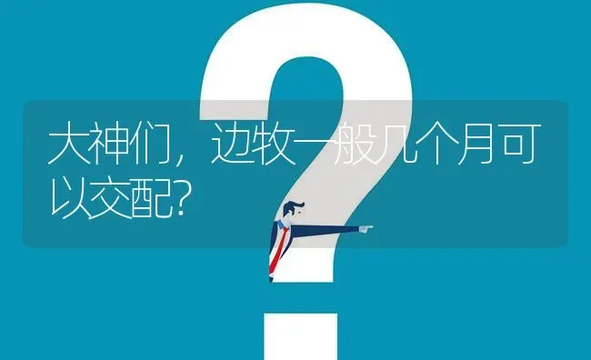 大神们，边牧一般几个月可以交配？ | 动物养殖问答