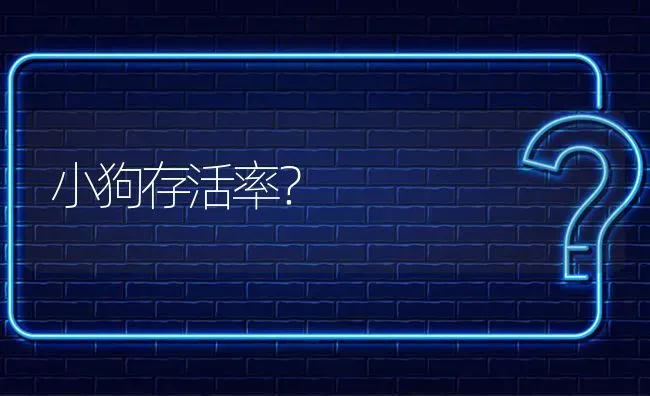 小狗存活率？ | 动物养殖问答