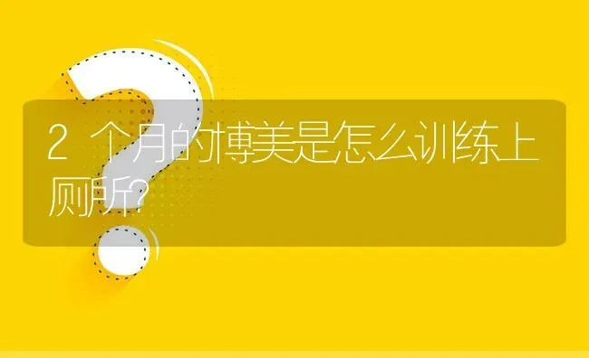 2个月的博美是怎么训练上厕所？ | 动物养殖问答