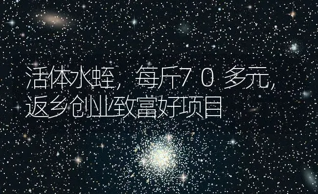 活体水蛭，每斤70多元，返乡创业致富好项目 | 动物养殖百科