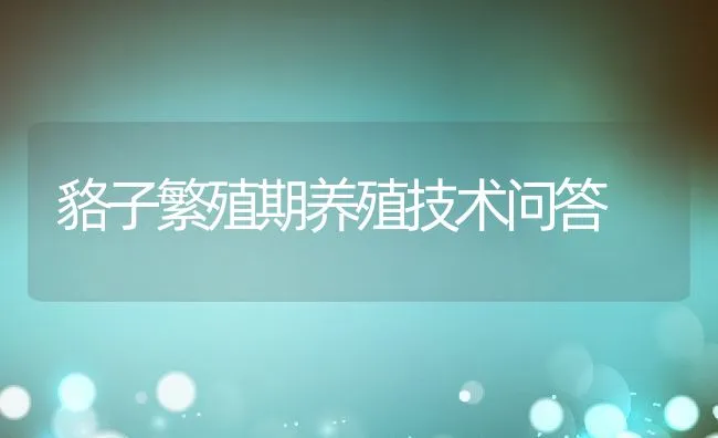 貉子繁殖期养殖技术问答 | 水产养殖知识