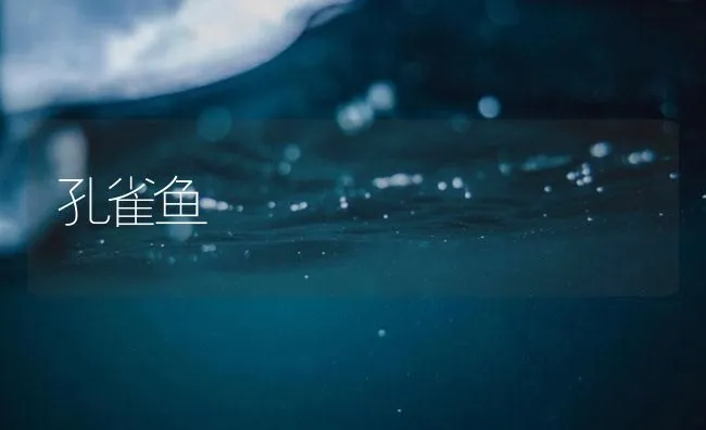 孔雀鱼 | 海水养殖技术