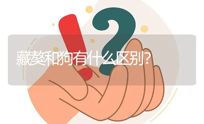 藏獒和狗有什么区别？ | 动物养殖问答