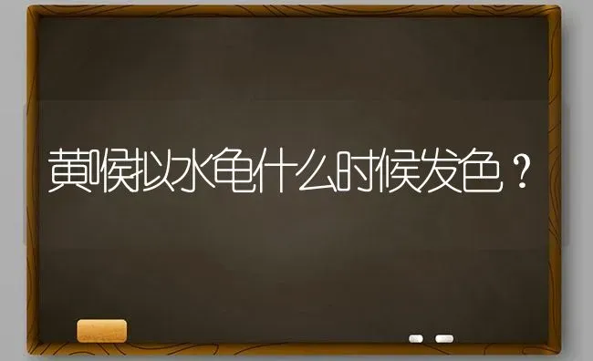 黄喉拟水龟什么时候发色？ | 动物养殖问答