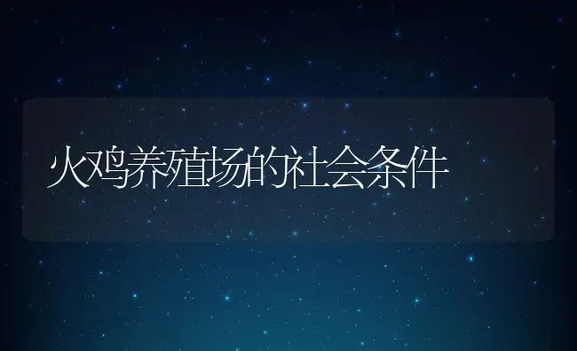 火鸡养殖场的社会条件 | 动物养殖教程