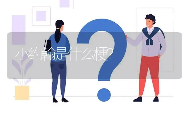 小约翰是什么梗？ | 动物养殖问答