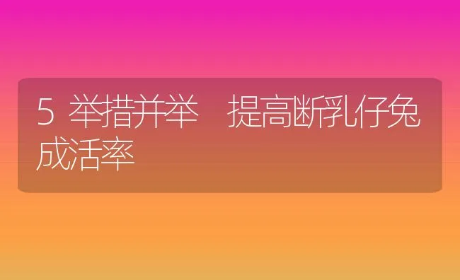5举措并举 提高断乳仔兔成活率 | 动物养殖学堂