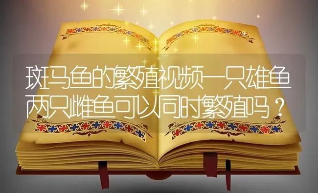 斑马鱼的繁殖视频一只雄鱼两只雌鱼可以同时繁殖吗？ | 鱼类宠物饲养