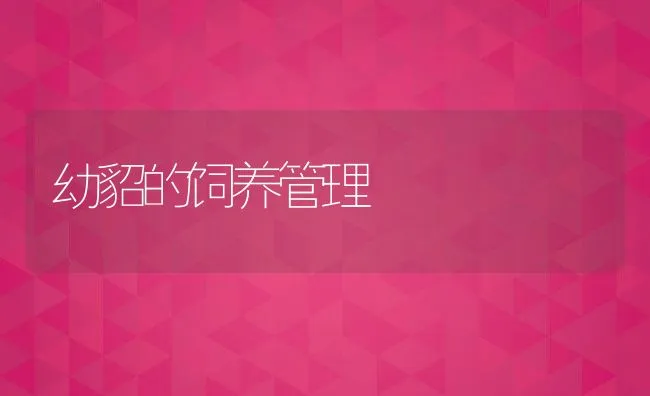 控制禽流感必须改变饲养方式 | 动物养殖学堂