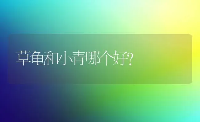 草龟和小青哪个好？ | 动物养殖问答