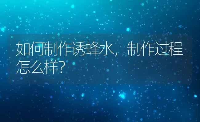 如何制作诱蜂水，制作过程怎么样？ | 动物养殖百科