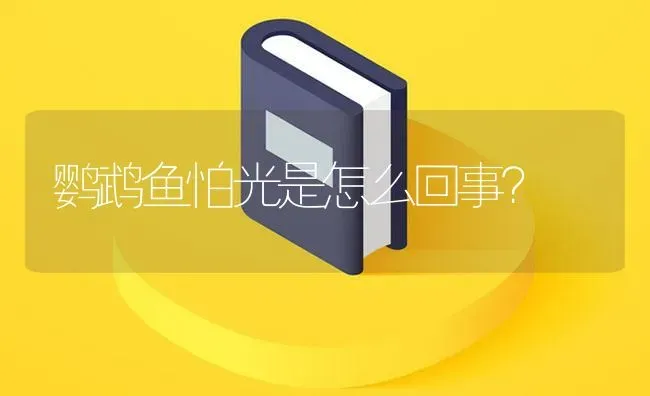 40背滤方缸可以养几条双带小丑鱼？ | 鱼类宠物饲养