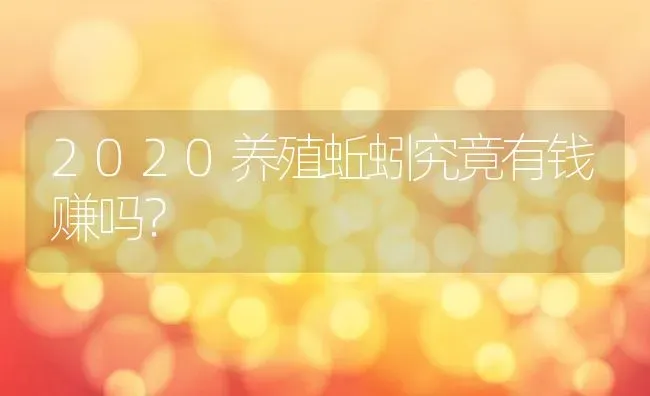 2020养殖蚯蚓究竟有钱赚吗？ | 动物养殖百科