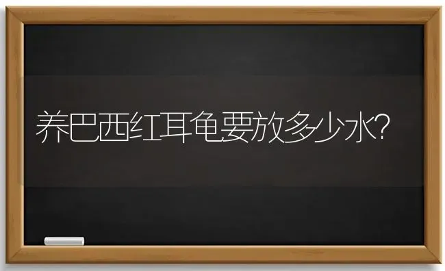 养巴西红耳龟要放多少水？ | 动物养殖问答