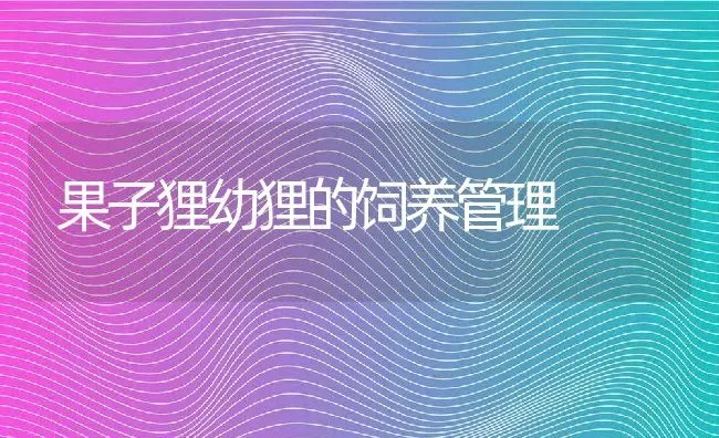 果子狸幼狸的饲养管理 | 动物养殖教程