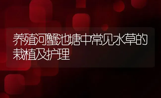 养殖河蟹池塘中常见水草的栽植及护理 | 动物养殖教程