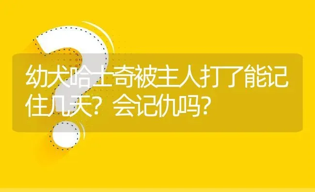 幼犬哈士奇被主人打了能记住几天？会记仇吗？ | 动物养殖问答