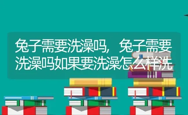 兔子需要洗澡吗,兔子需要洗澡吗如果要洗澡怎么样洗 | 宠物百科知识