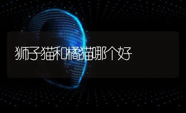 柯基能吃桔子吗？ | 动物养殖问答