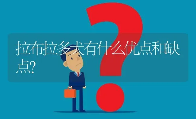 拉布拉多犬有什么优点和缺点？ | 动物养殖问答