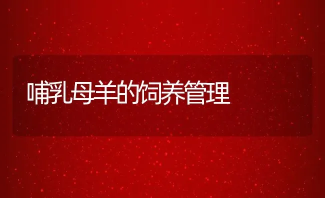 哺乳母羊的饲养管理 | 水产养殖知识