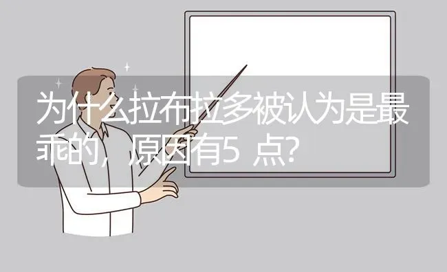 为什么拉布拉多被认为是最乖的，原因有5点？ | 动物养殖问答