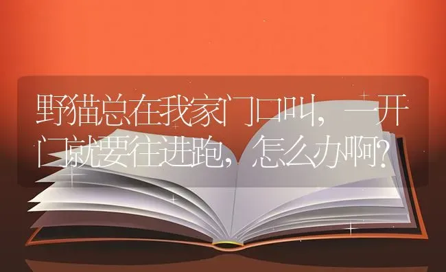 野猫总在我家门口叫，一开门就要往进跑，怎么办啊？ | 动物养殖问答