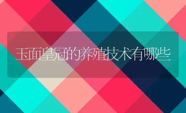 玉面皇冠的养殖技术有哪些 | 动物养殖百科