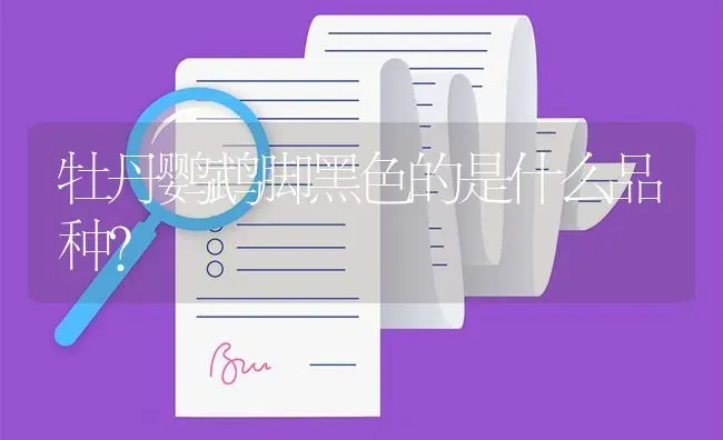 牡丹鹦鹉脚黑色的是什么品种？ | 鱼类宠物饲养