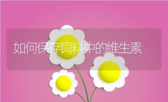 如何保存饲料中的维生素 | 动物养殖学堂