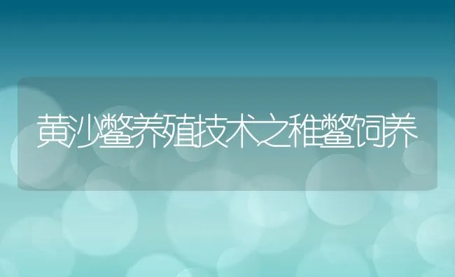 黄沙鳖养殖技术之稚鳖饲养 | 水产养殖知识