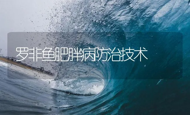 罗非鱼肥胖病防治技术 | 海水养殖技术