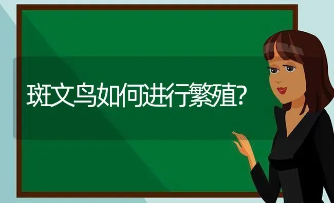 乌龟的眼被什么东西捂住？ | 动物养殖问答