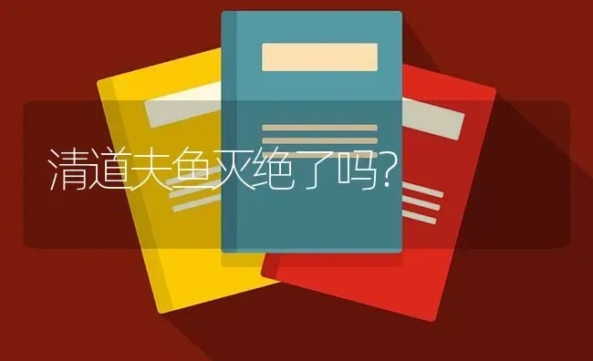 清道夫鱼灭绝了吗？ | 鱼类宠物饲养