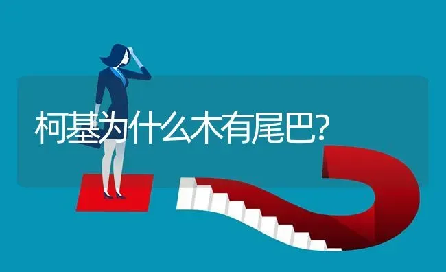 柯基为什么木有尾巴？ | 动物养殖问答