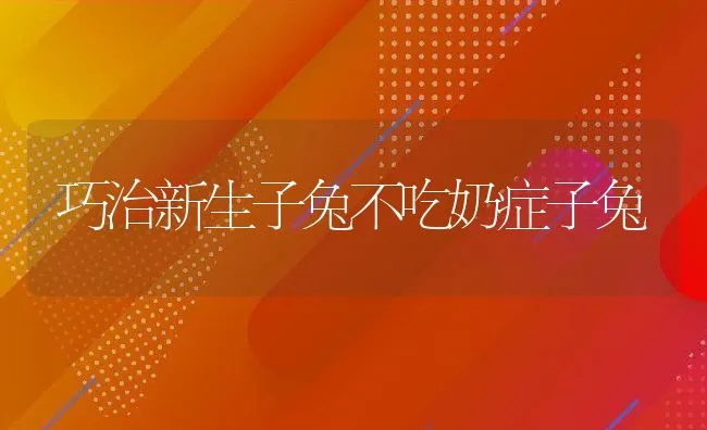 泥鳅池塘养殖技术 | 动物养殖学堂