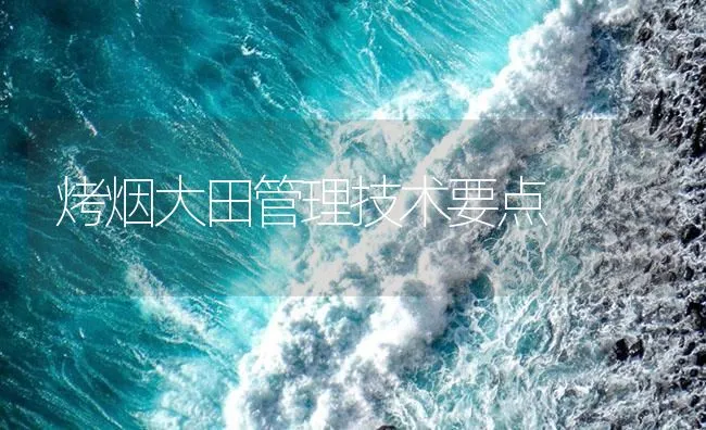 烤烟大田管理技术要点 | 海水养殖技术