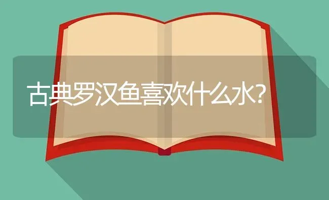 红烧青梢鱼的做法？ | 鱼类宠物饲养