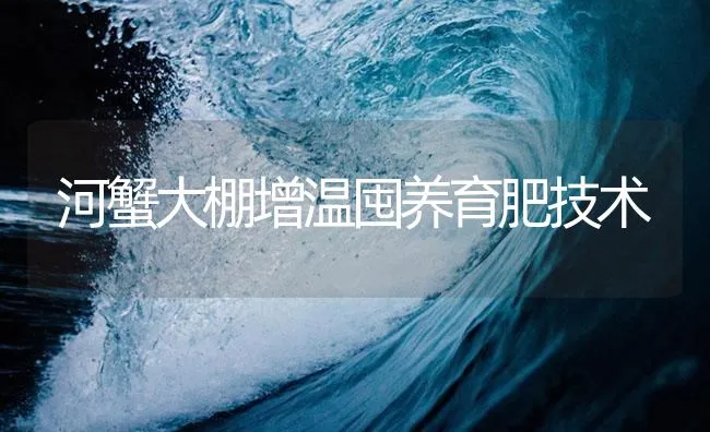 河蟹大棚增温囤养育肥技术 | 海水养殖技术