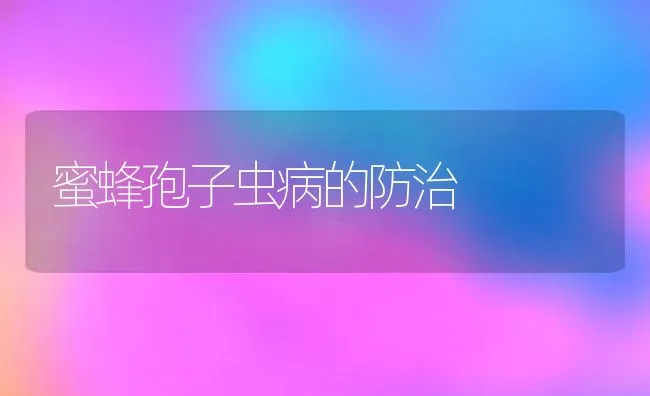 蜜蜂孢子虫病的防治 | 水产养殖知识