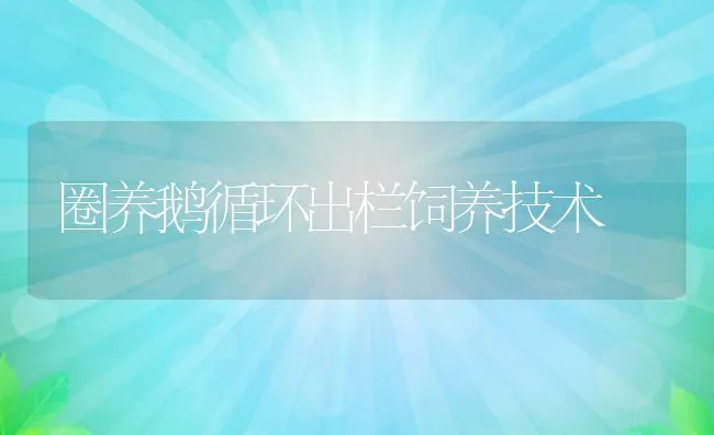 圈养鹅循环出栏饲养技术 | 动物养殖饲料