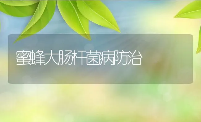 蜜蜂大肠杆菌病防治 | 动物养殖学堂