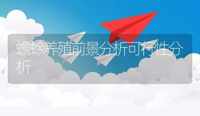 蟾蜍养殖前景分析可行性分析 | 动物养殖百科