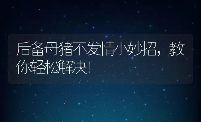 后备母猪不发情小妙招，教你轻松解决！ | 动物养殖百科